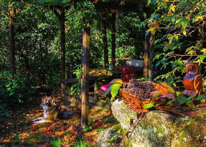 Cas Do Mestre - Con Encanto *